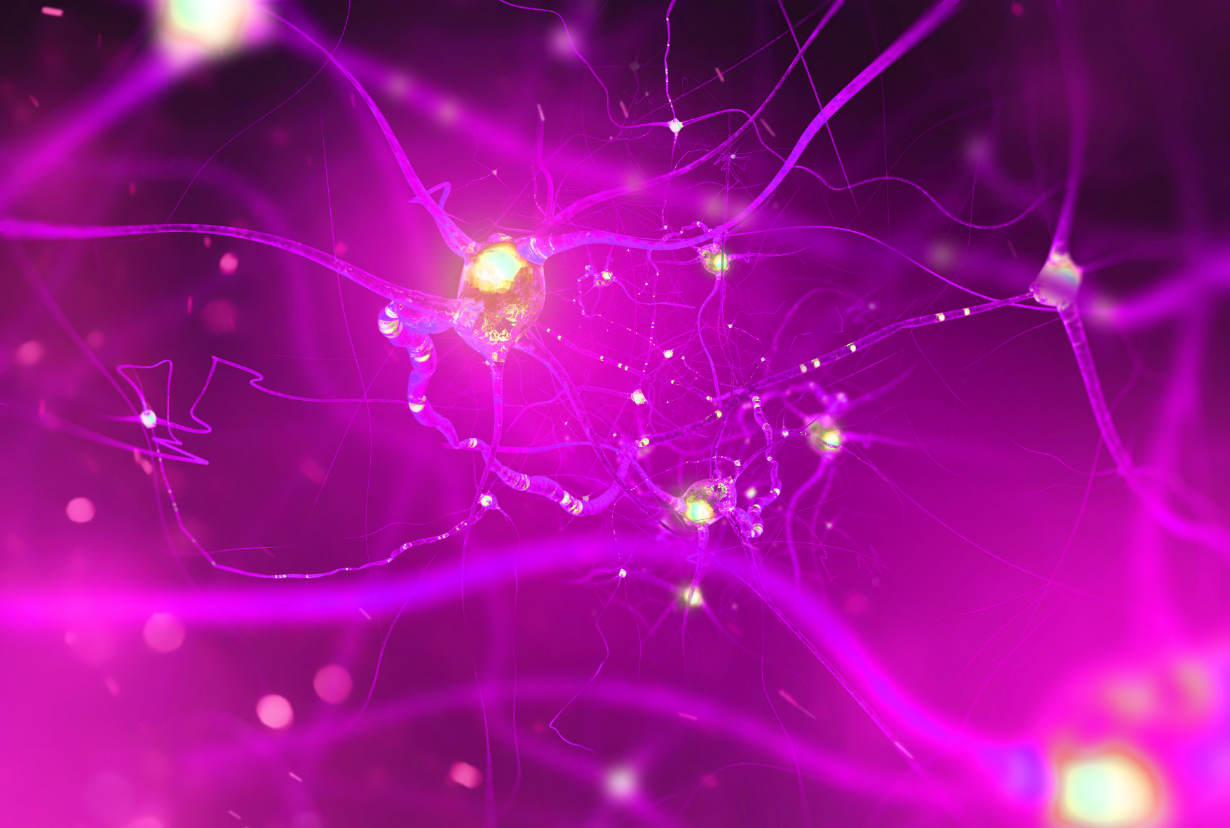 Neurons and nervous system